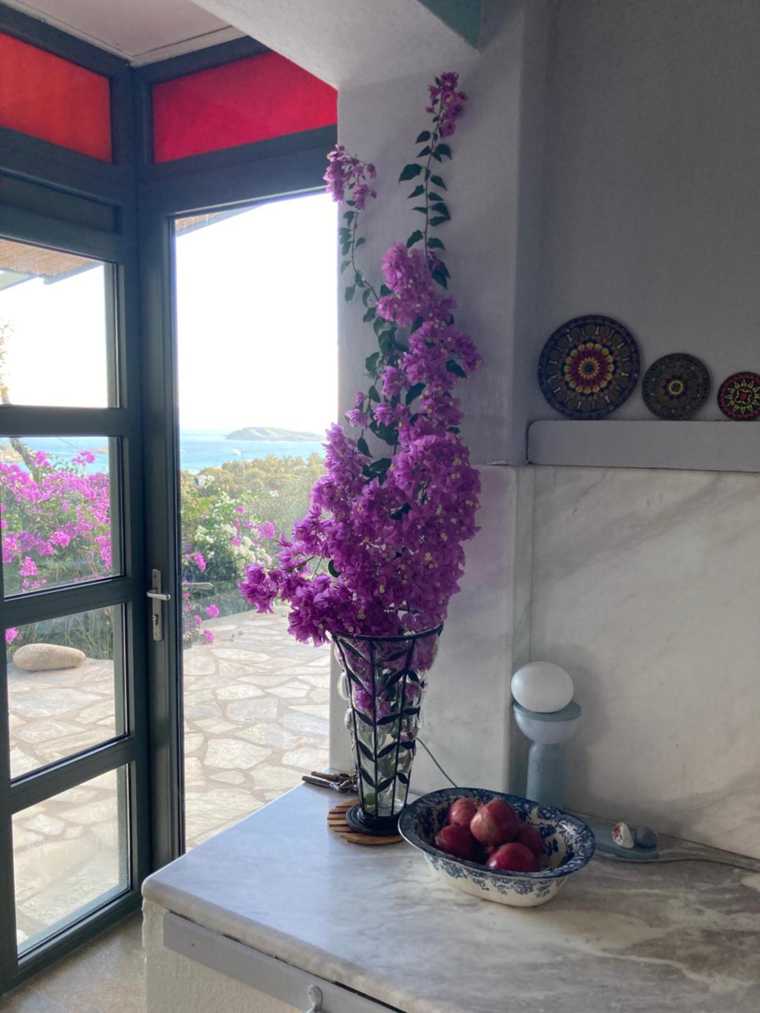 Tierra Vila Skiathos Town Exterior foto