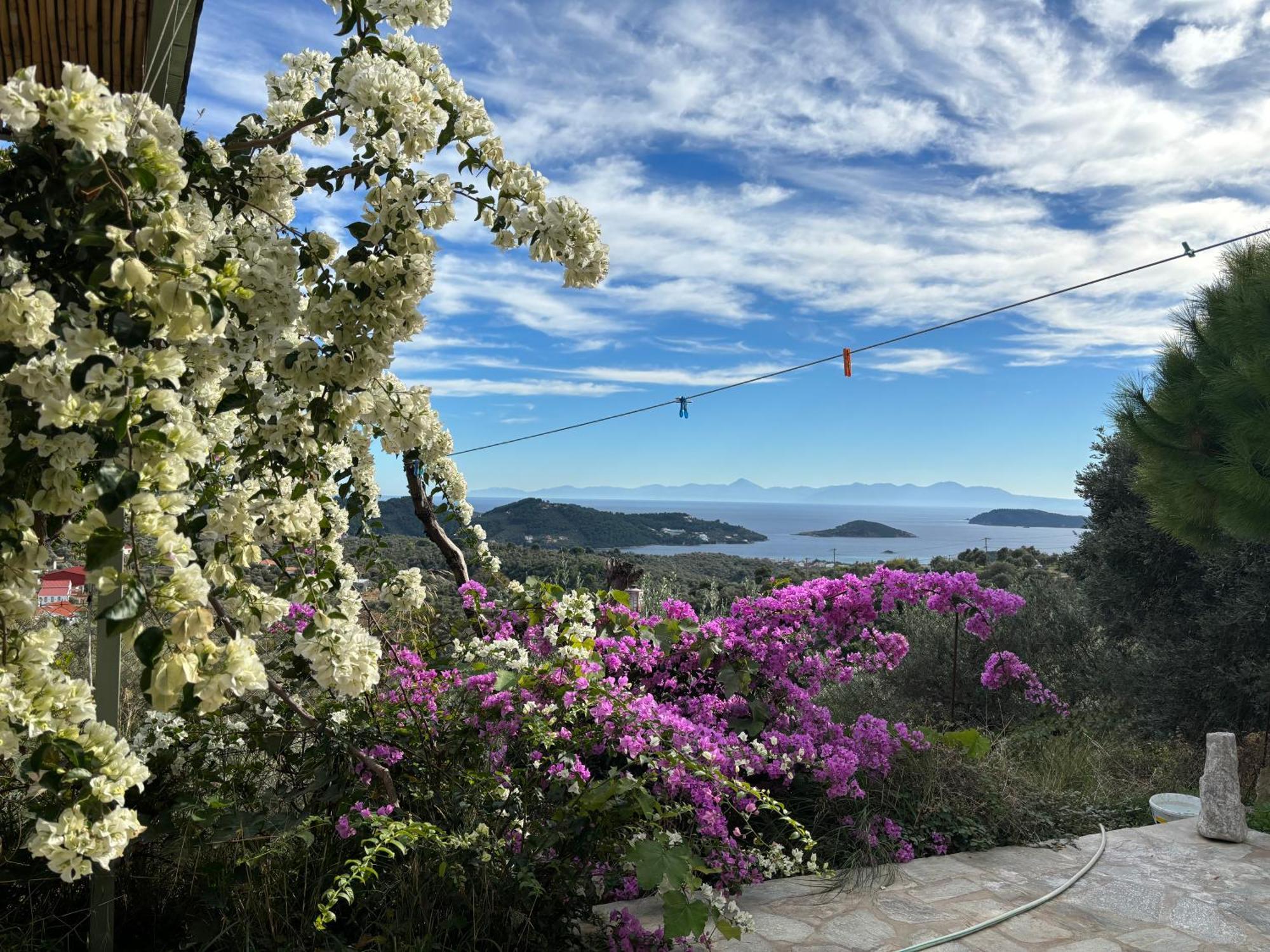 Tierra Vila Skiathos Town Exterior foto