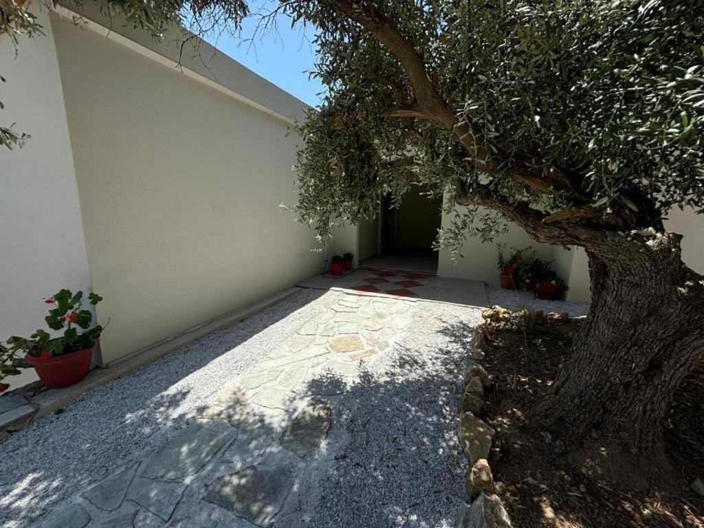Tierra Vila Skiathos Town Exterior foto